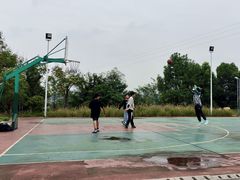 -白鹭湾湿地公园