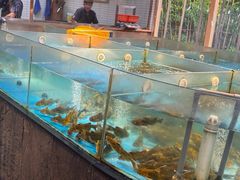 -耕渔小院·湖南鱼鲜(望城店)