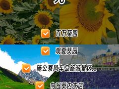 -百万葵园