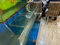 水产区-盈润餐饮河南烩面全羊锅