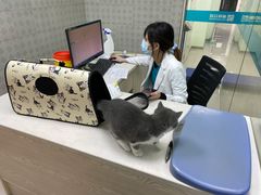 -美联众合动物医院(·中兽医·疑难杂症·严家桥分院)