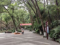 -忠山公园
