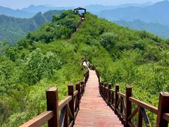 -大岭沟猕猴桃谷风景区