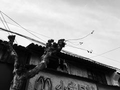 -马相伯故居