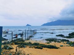 -西涌国际滨海旅游区