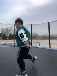 -上美四季动物农场
