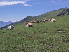 -灵山