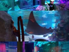 -沈阳海洋探索中心