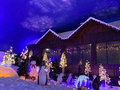 -世界之窗阿尔卑斯冰雪世界