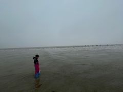 -北海金海湾红树林生态旅游区