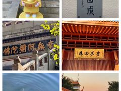 -深圳市中科院仙湖植物园