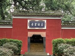 -子昂故里文化旅游区