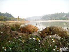 -南国桃园旅游度假区