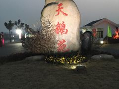 -明珠湖天鹅苑·农家菜馆