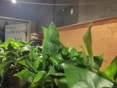 -七串串(无锡总店)