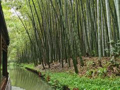 -同里国家湿地公园