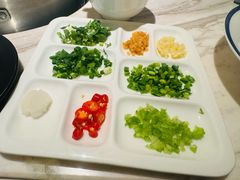 -汤城·料青山