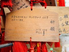 -峨眉山报国寺