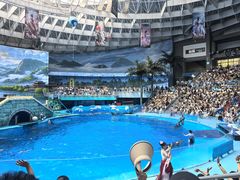 -海合安成都极地海洋公园