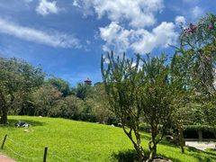 -深圳仙湖植物园