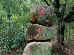 -茶人谷-东海大峡谷