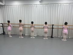 -中央芭蕾舞团·中芭艺蕾(酒仙桥明星校区)