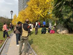 -重庆市江北嘴中央商务区中央公园