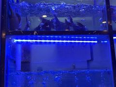 -云中鱼蒸汽石锅鱼(川沙百联店)