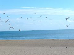 -海云台海滩