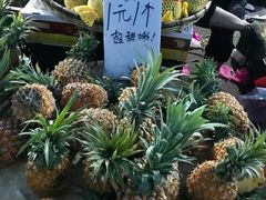 -红星农博物流中心