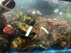 -盒马鲜生(曜一城店)