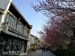 -运河游船(武林门码头)