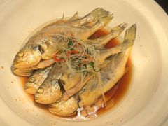 -永泰福朋喜来登酒店-宜客乐自助餐厅(远大路店)