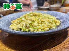 茉莉花炒蛋-云上千禾(水上店)