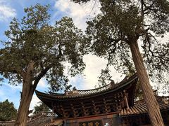-巍山古城