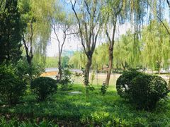 -青年湖公园水上世界