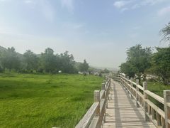 -中华福寿山
