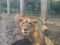 -西安秦岭野生动物园