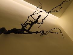 -静耳元気采耳·按摩·SPA(万象前海店)