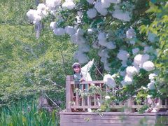 -上海共青森林公园