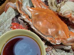 -和源祥·日照菜扛把子(万平口一店)