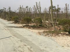 2号门车位-上海海湾国家森林公园