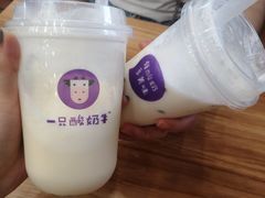 -一只酸奶牛(八一路店)