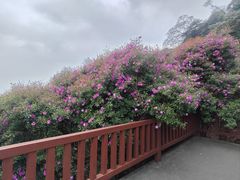 -广州市石门国家森林公园