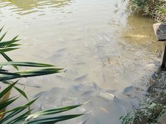 -曼听御花园