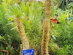-国家植物园南园