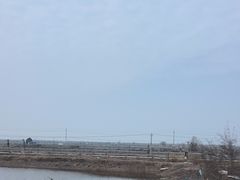 -洪湖湿地生态园