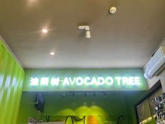 -油梨树AVOCADO TREE(顺义新国展店)