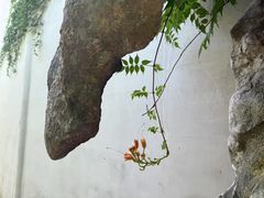 -巡塘古镇