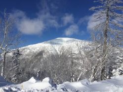 -大秃顶子山